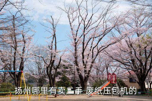 扬州哪里有卖二手 废纸压包机的