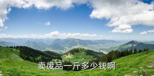 卖废品一斤多少钱啊