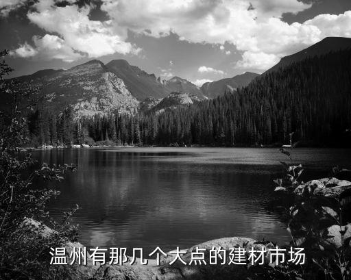  温州有那几个大点的建材市场