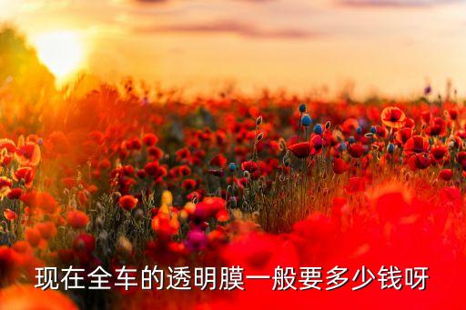 现在全车的透明膜一般要多少钱呀