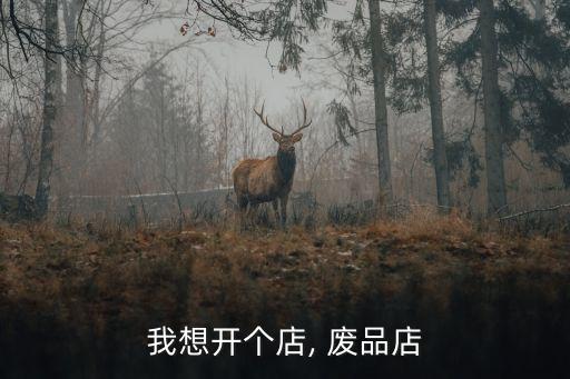 我想开个店, 废品店