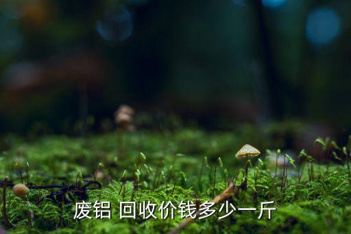 废铝 回收价钱多少一斤