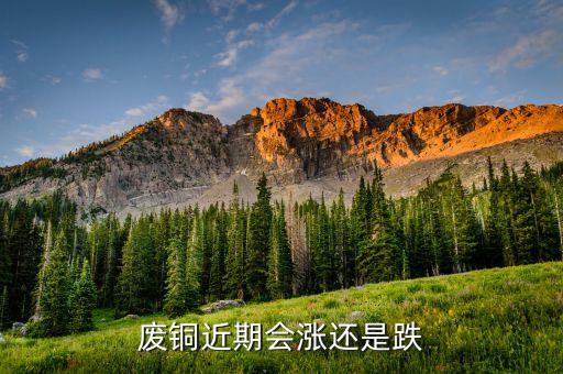 废铜近期会涨还是跌