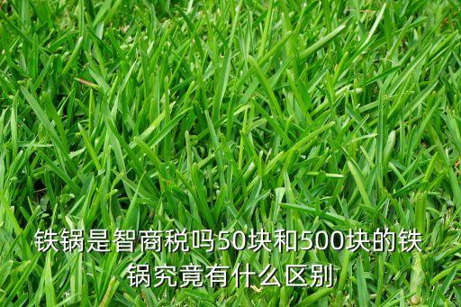 铁锅是智商税吗50块和500块的铁锅究竟有什么区别