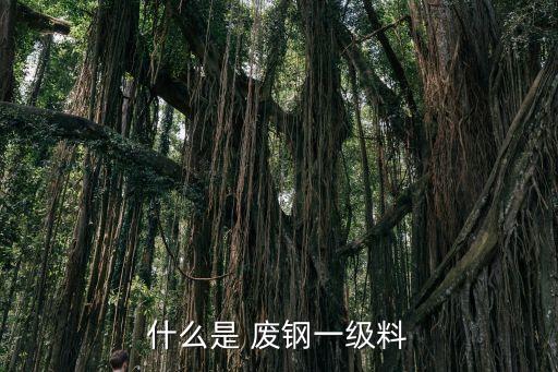 什么是 废钢一级料