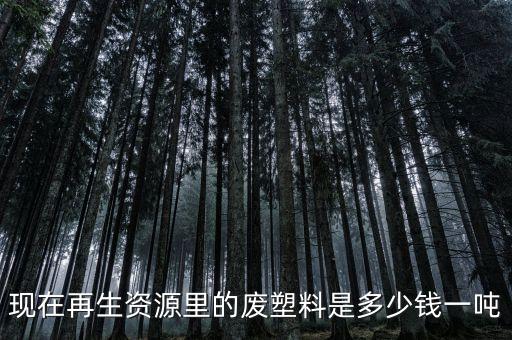 现在再生资源里的废塑料是多少钱一吨
