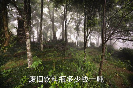 废旧饮料瓶多少钱一吨