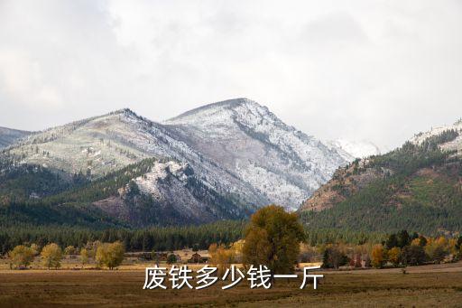  废铁多少钱一斤