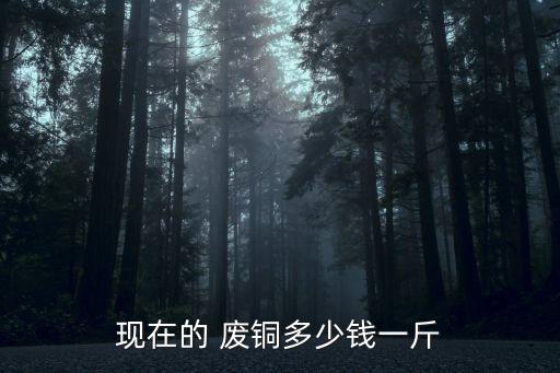现在的 废铜多少钱一斤