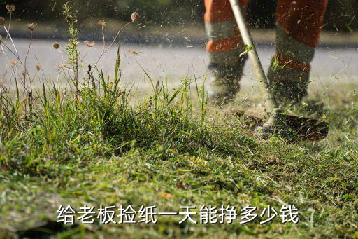给老板捡纸一天能挣多少钱