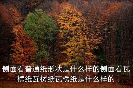 侧面看普通纸形状是什么样的侧面看瓦楞纸瓦楞纸瓦楞纸是什么样的