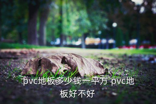  pvc地板多少钱一平方 pvc地板好不好