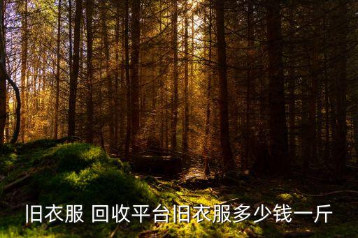 旧衣服 回收平台旧衣服多少钱一斤