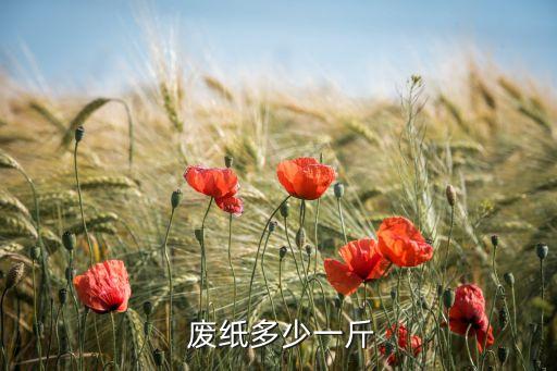  废纸多少一斤