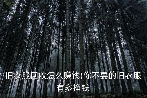 旧衣服回收怎么赚钱(你不要的旧衣服有多挣钱