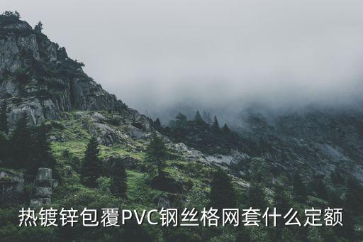 热镀锌包覆PVC钢丝格网套什么定额