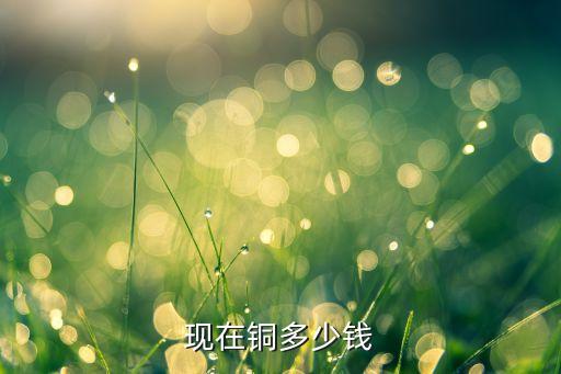 现在铜多少钱