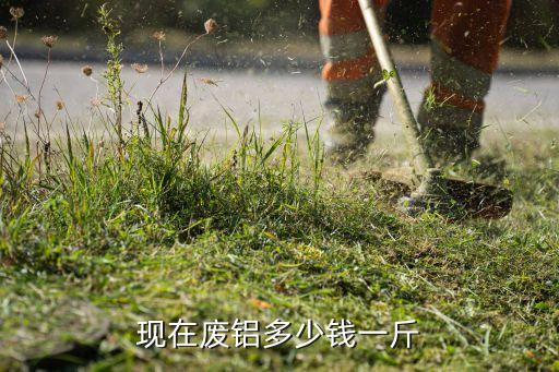 现在废铝多少钱一斤