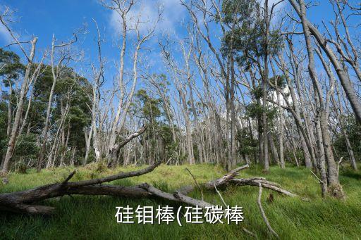 硅钼棒(硅碳棒
