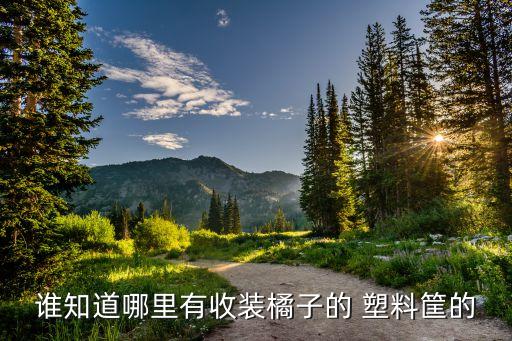 谁知道哪里有收装橘子的 塑料筐的