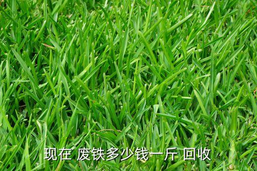 现在 废铁多少钱一斤 回收