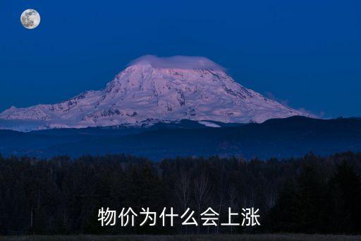 物价为什么会上涨