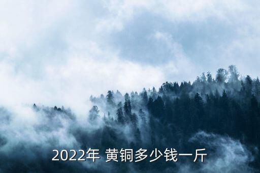 2022年 黄铜多少钱一斤