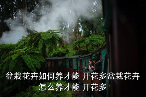 盆栽花卉如何养才能 开花多盆栽花卉怎么养才能 开花多