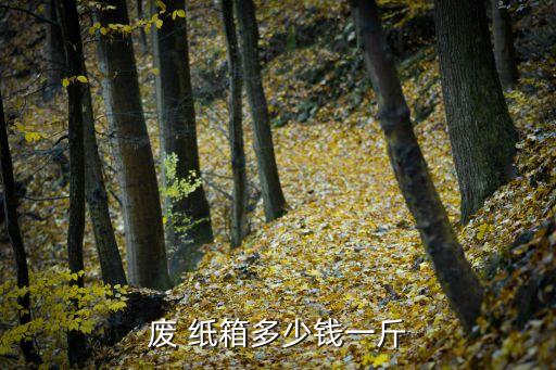 废 纸箱多少钱一斤