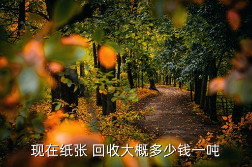 现在纸张 回收大概多少钱一吨