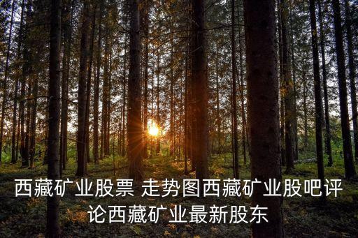 西藏矿业股票 走势图西藏矿业股吧评论西藏矿业最新股东