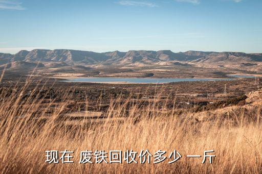 现在 废铁回收价多少 一斤