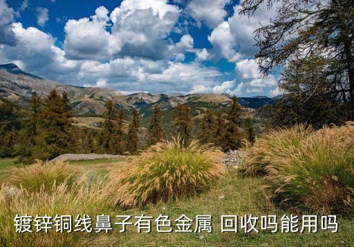 镀锌铜线鼻子有色金属 回收吗能用吗