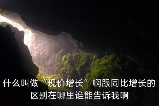 什么叫做“现价增长”啊跟同比增长的区别在哪里谁能告诉我啊
