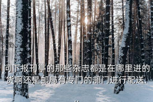 问下报刊亭的那些杂志都是在哪里进的货啊还是邮局有专门的部门进行配送...