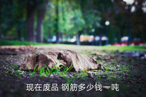 现在废品 钢筋多少钱一吨