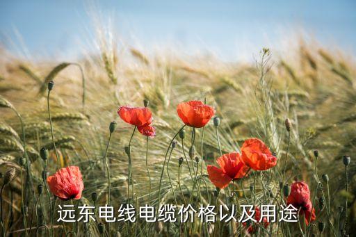远东电线电缆价格以及用途