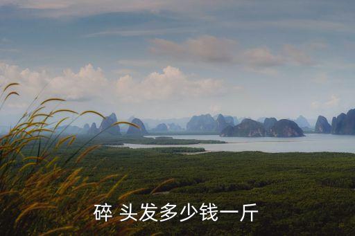 碎 头发多少钱一斤