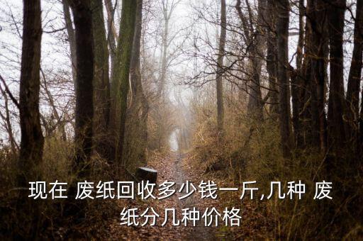 现在 废纸回收多少钱一斤,几种 废纸分几种价格