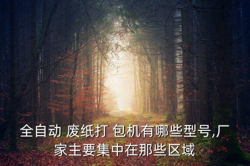 全自动 废纸打 包机有哪些型号,厂家主要集中在那些区域