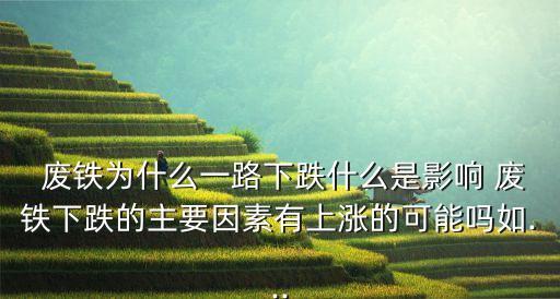  废铁为什么一路下跌什么是影响 废铁下跌的主要因素有上涨的可能吗如...