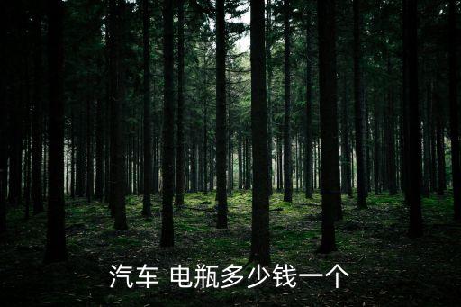 汽车 电瓶多少钱一个