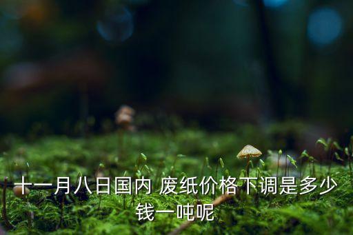 十一月八日国内 废纸价格下调是多少钱一吨呢