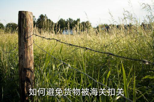 如何避免货物被海关扣关