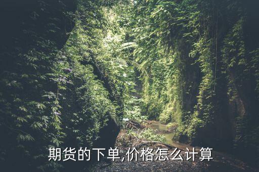  期货的下单,价格怎么计算