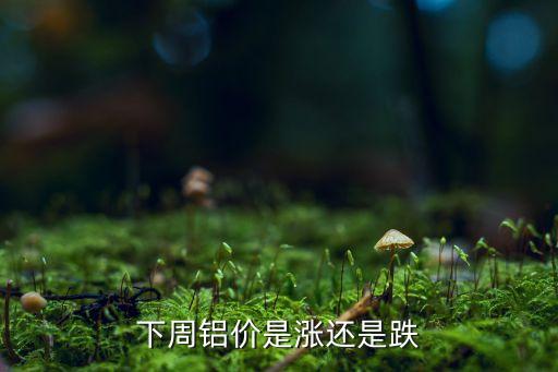 四川铝价格最新行情,四川鸡蛋价格最新行情