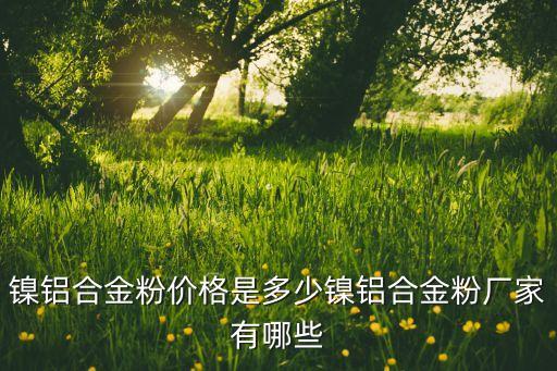 镍铝合金粉价格是多少镍铝合金粉厂家有哪些