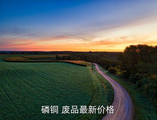 磷铜 废品最新价格