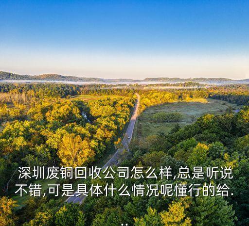  深圳废铜回收公司怎么样,总是听说不错,可是具体什么情况呢懂行的给...