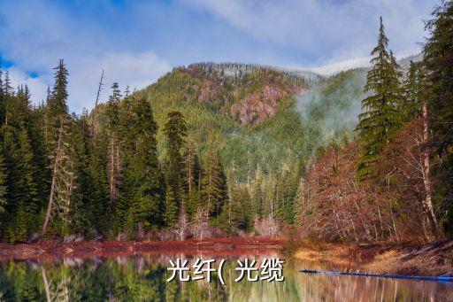 光纤( 光缆